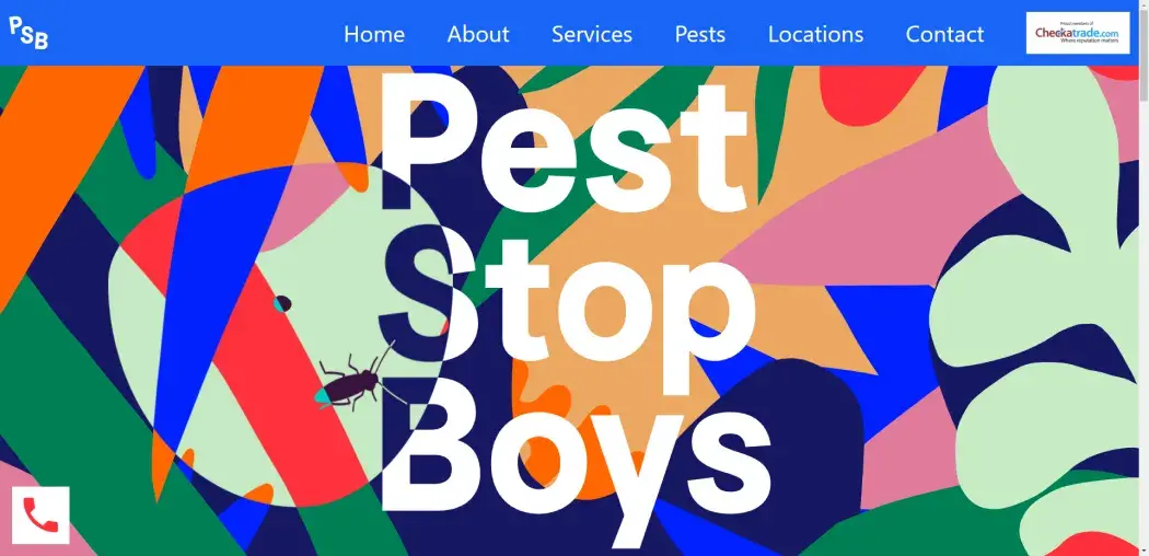 Пример глобального контраста — сайт peststopboys.co.uk